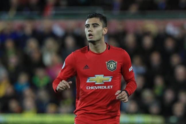 Andreas Pereira of Manchester United (Alamy)