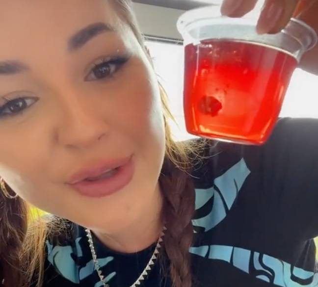 Anna used the pot of jelly to demonstrate how turbulence won't cause a plane to crash because of the constant pressure around the vehicle. Credit: @anna..paull/TikTok