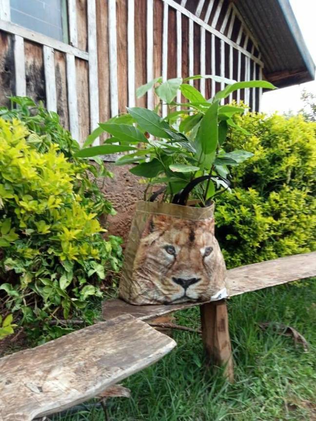 Wildlife officers responded to the 'stray lion' sighting. Credit: Twitter/Kenya Wildlife Service