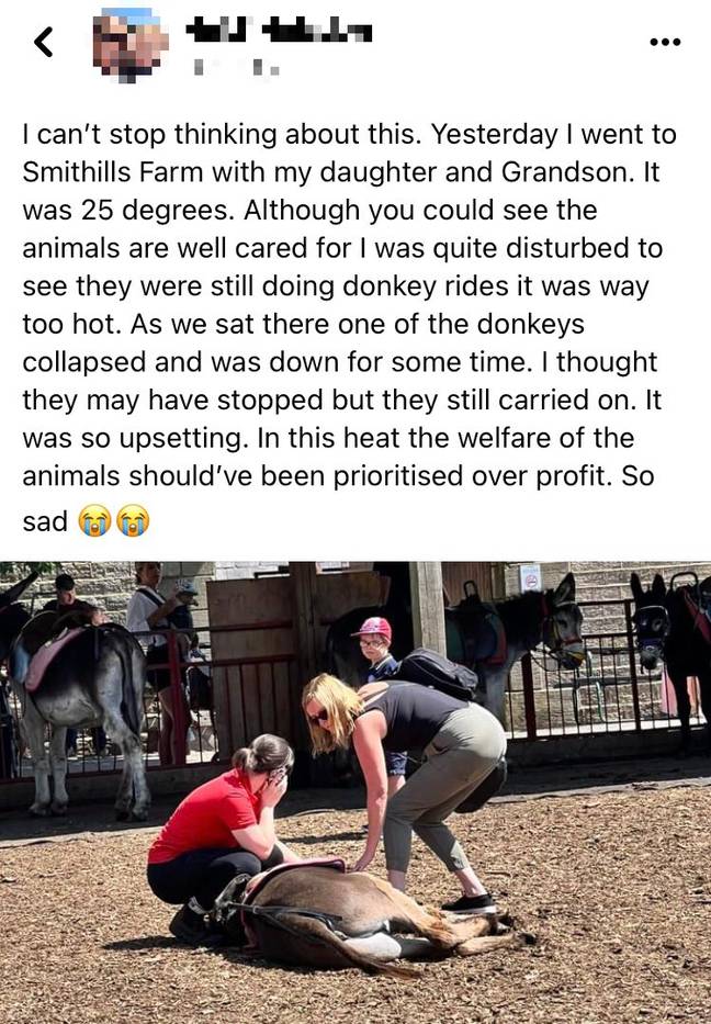 The original Facebook post claiming the donkey had collapsed due to the heat. Credit: Facebook