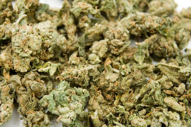 Cannabis is currently a class B drug. Credit: Joe Bird / Alamy Stock Photo