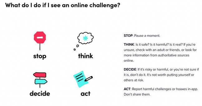 TikTok has a guide to recognising dangerous challenges or hoaxes for users to refer to. (Credit: TikTok)