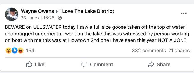 韦恩·欧文斯（Wayne Owens）发现鹅被某种水下生物袭击，他警告了湖区当地人。信用：Wayne Owens/ Facebook