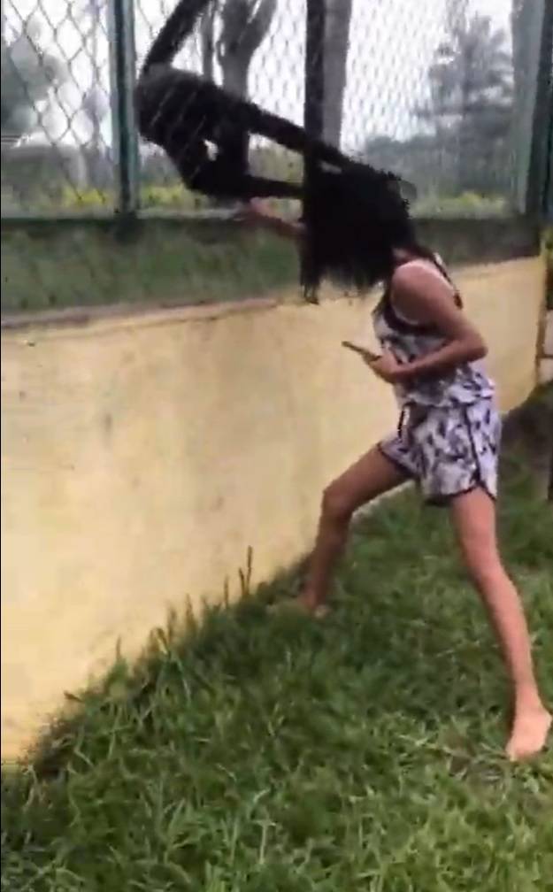The spider monkeys are able to grab hold of the girl's hair. Credit: TikTok/@greciadlg29