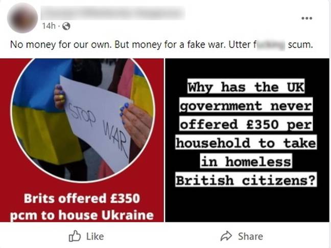 Woman brands war in Ukraine 'fake'. (Kennedy News and Media)