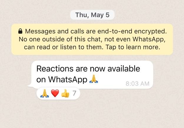 You can now react to messages on WhatsApp. Credit: WhatsApp