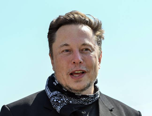 Elon Musk. Credit: Alamy