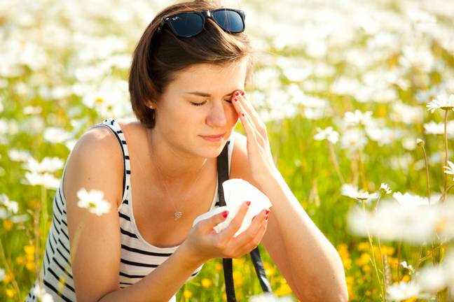 Hayfever sufferers are praising a 'miracle' cure, which is sadly running out. Credit: Alamy