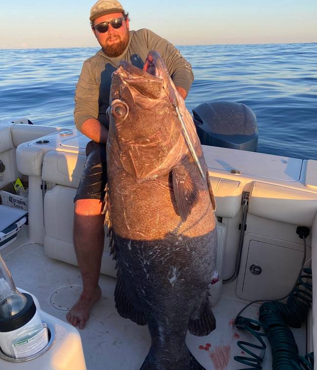 The huge fish was as big as a human adult. Credit: 9 News/Facebook