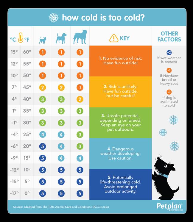 Temperatures you shouldn't walk your dog in. (Credit: Pet Plan)