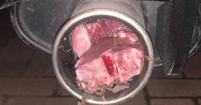 Lamb found in a car's exhaust Credit: Herefordshire Cops/Facebook