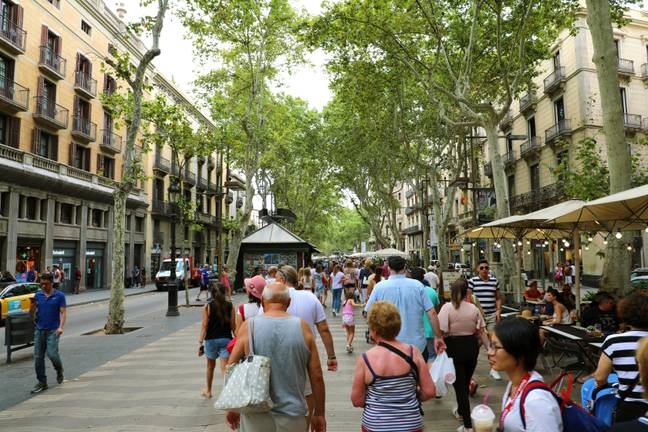 Barcelona es famosa por los ladrones que roban a los turistas.  crédito: científico 