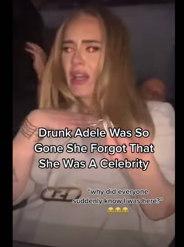 Adele leaned down from the VIP section to quiz some of the clubgoers. Credit: lifeoflaparties/TikTok