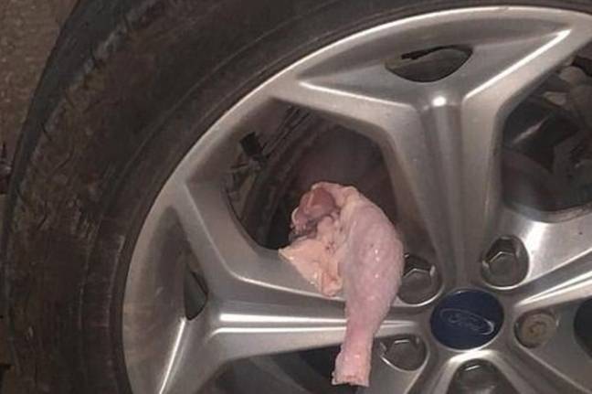 Chicken leg on a wheel Credit: Herefordshire Cops/Facebook