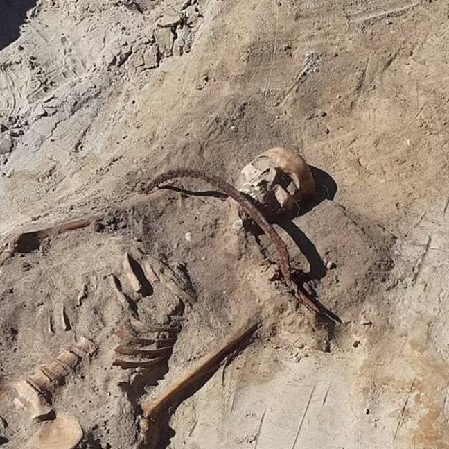 Credit: Miroslaw Blicharski/Aleksander Poznan