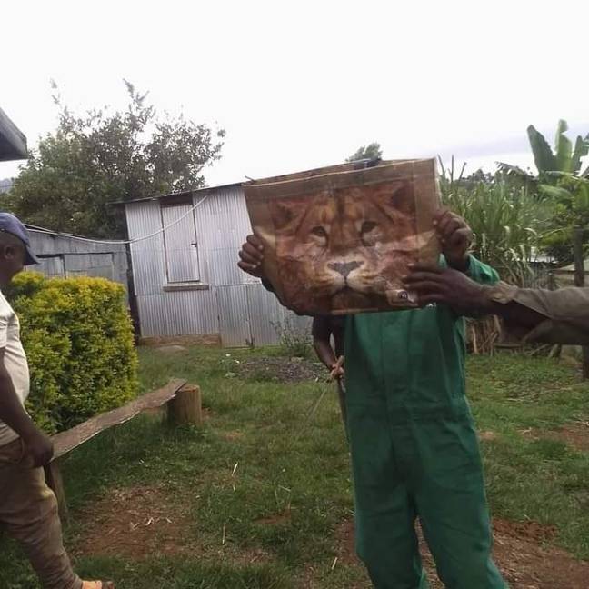 It looks a lot less scary now, to be fair. Credit: Twitter/Kenya Wildlife Service