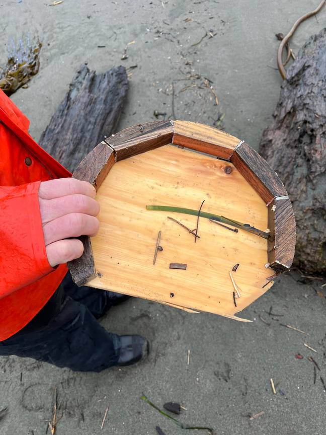 Part of Hunter's 'wooden treasure bucket', found on a beach. Credit: Facebook/Trinidad, CA. Search for Hunter Lewis