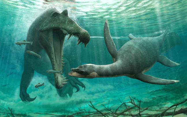 The fossils mean Nessie may have been able to survive in Loch Ness after all. Credit: University of Bath