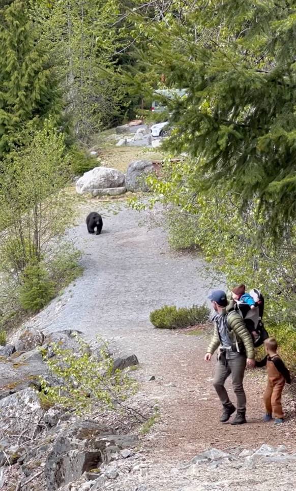 A lifestyle blogger has shared footage of her family’s nerve-shredding encounter with a black bear. Credit: Instagram.com/brightonpeachy