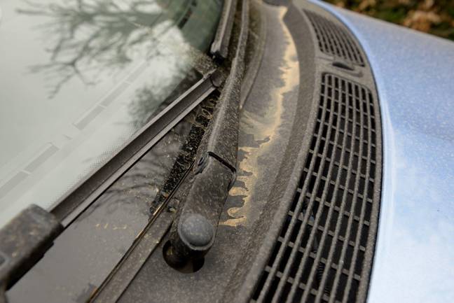 Saharan dust deposited on cars earlier this year. Credit: Alamy