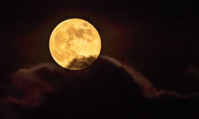 Supermoons occur when the full moon is at its closest point of orbit to the earth. Credit: Gerard Ferry / Alamy Stock Photo