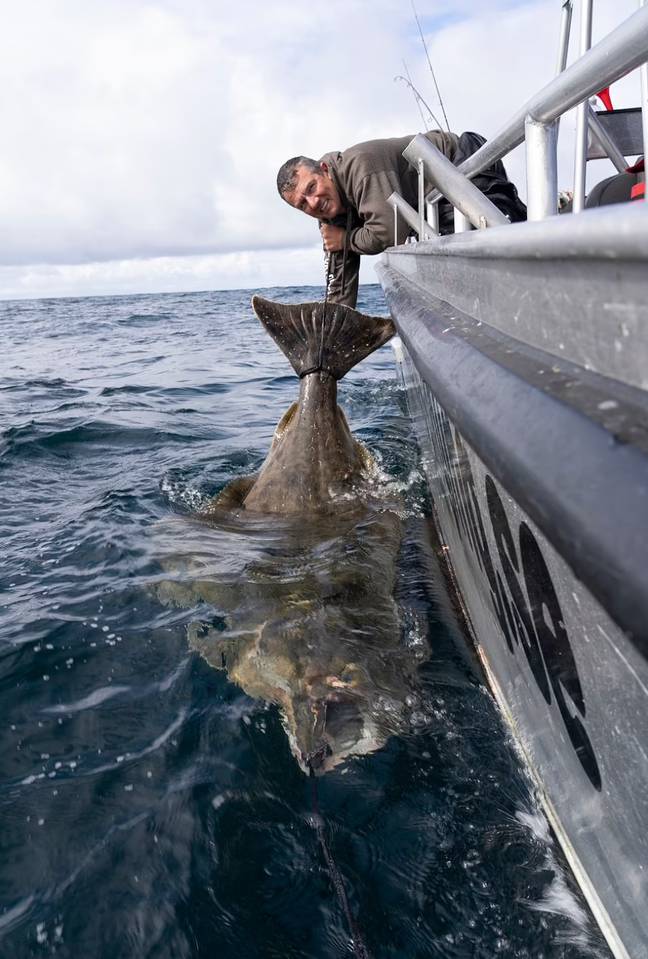 The huge fish weighed approximately 400lbs. Credit: SportQuestHolidays/BNPS