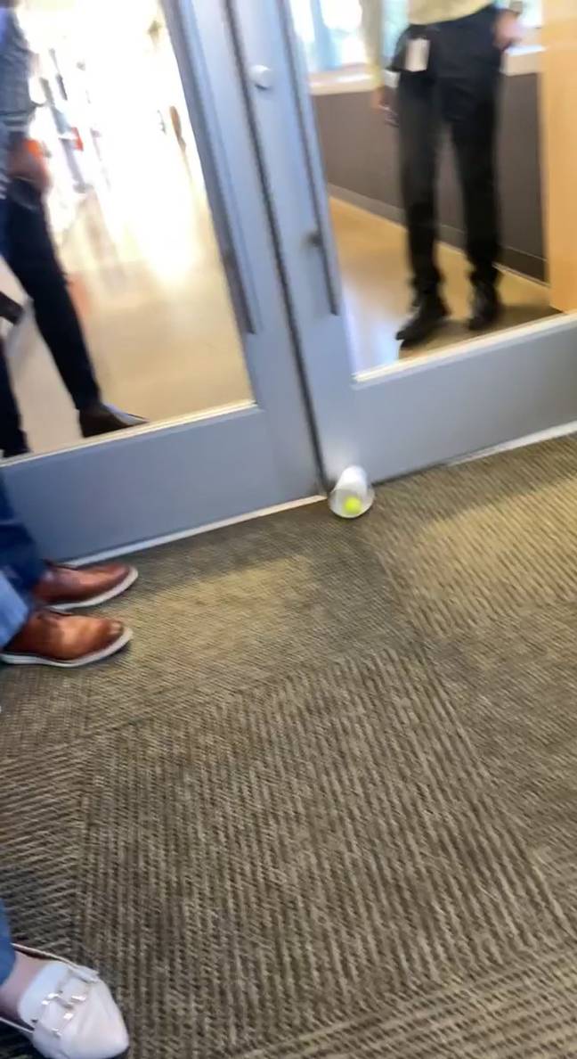 Employees were told they could leave three hours early if one of them hit the ball into the cup. Credit: Kennedy News and Media