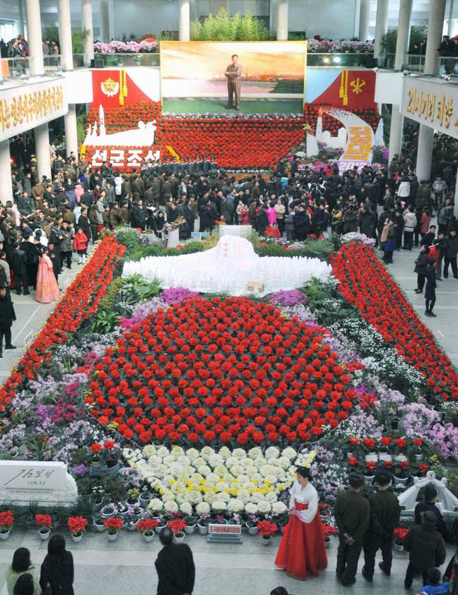 A group of gardeners have been sent to labour camps after failing to have the 'kimjongilias' ready for the celebration. Credit: Alamy