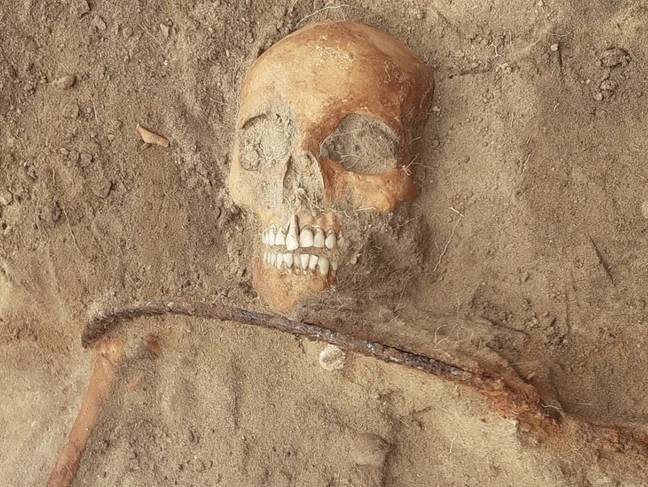 Credit: Miroslaw Blicharski/Aleksander Poznan