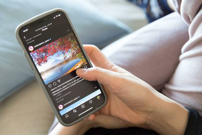 Instagram is bringing back the chronological feed. (Alamy)