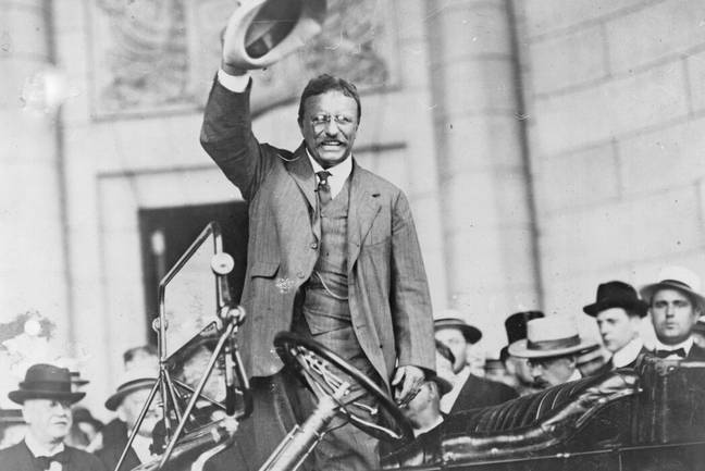 Theodore Roosevelt (Alamy)