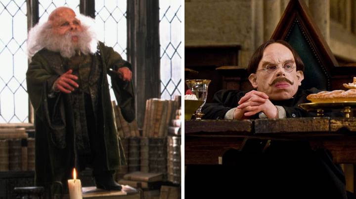 Harry Potter Fans Are Just Noticing Professor Flitwick's 'Glow Up' In Third Movie