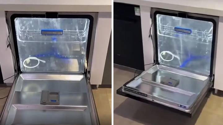 People Are Just Seeing What Happens Inside A Dishwasher For The First Time