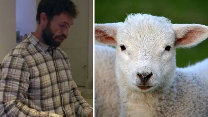 BBC Viewers Horrified As Kelvin Fletcher Feeds Slaughtered Lamb To Kids