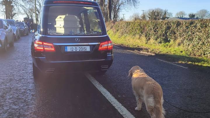 People left in tears after loyal dog is pictured walking behind owner's coffin