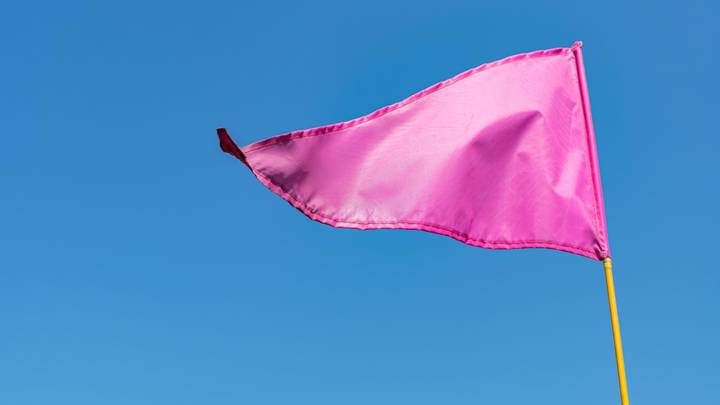 'Pink Flags' Are The New Relationship Warning Signs To Look Out For