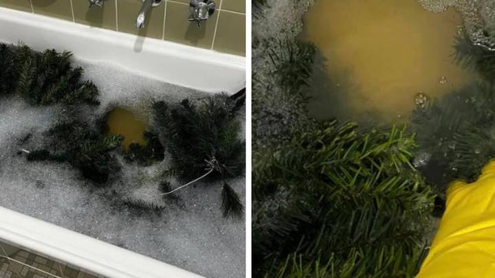 People left divided after woman reveals she washes her Christmas tree