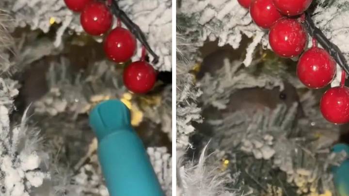 Mum makes ‘horror’ discovery after looking through branches of her Christmas tree