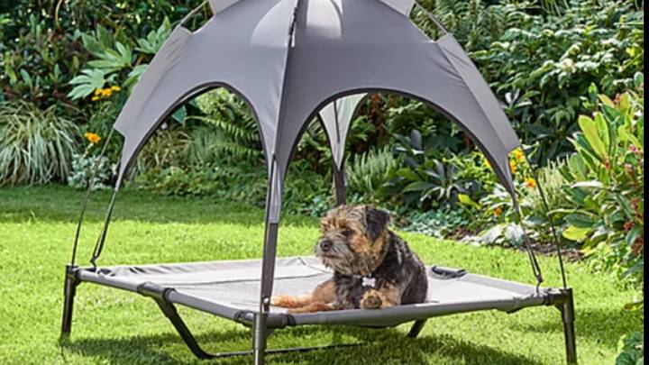 Asda Is Selling A Dog Bed Gazebo And It's Such A Bargain