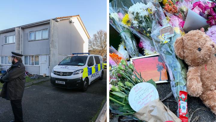 Neighbours heard woman scream: 'My baby, she's dead' from house where little girl was killed by dog