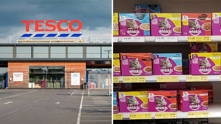 Tesco To Stop Selling Major Pet Foods Including Whiskas And Dreamies