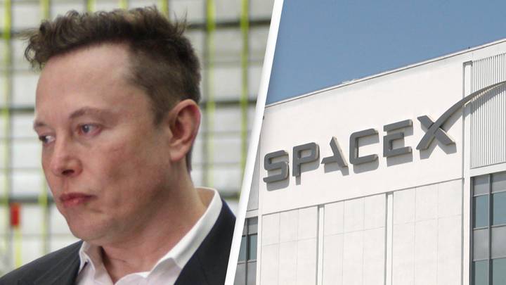 Elon Musk Has Fired Employees For Criticising Him