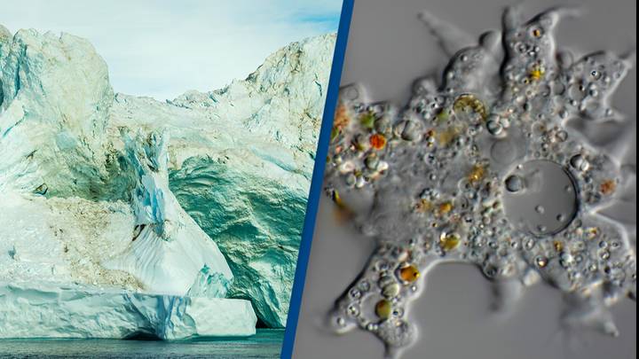 Science: 48,500 year old zombie virus trapped in ice in Siberia revived ...