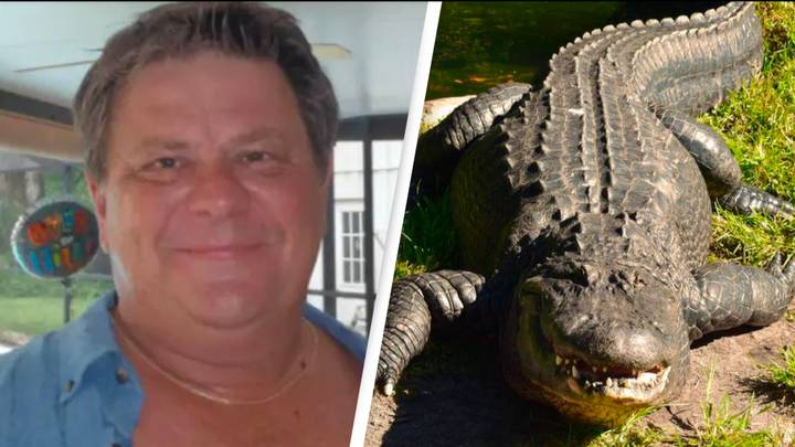Man Killed After Hitting 11ft Alligator