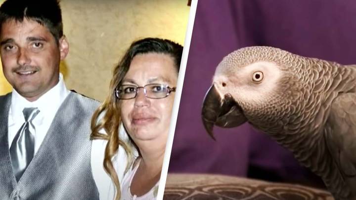 Woman convicted of killing husband after parrot repeated victim's 'last words’