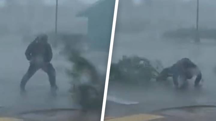 Weather reporter gets hit by flying tree branch while covering Hurricane Ian