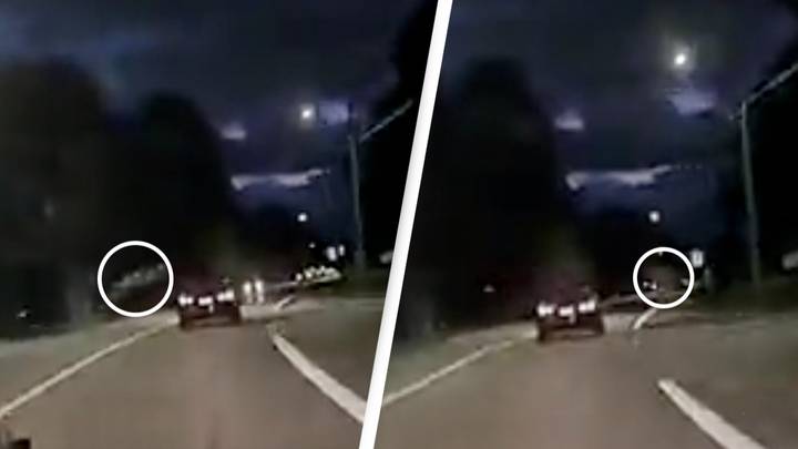 Police advise drivers as deer caught leaping over car in incredible footage