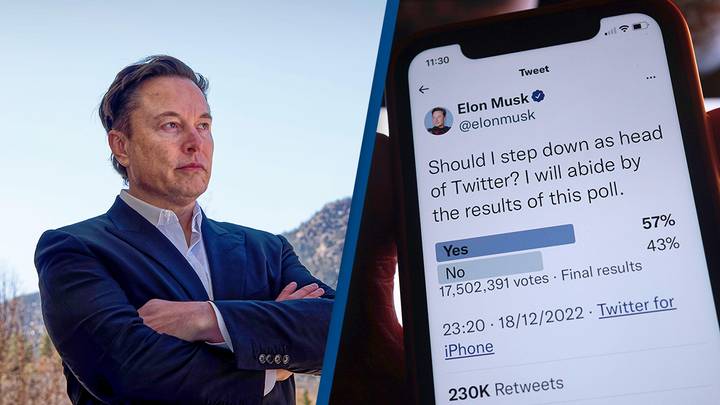 Elon Musk confirms he will quit Twitter CEO gig as soon as he finds 'someone foolish enough to take the job'