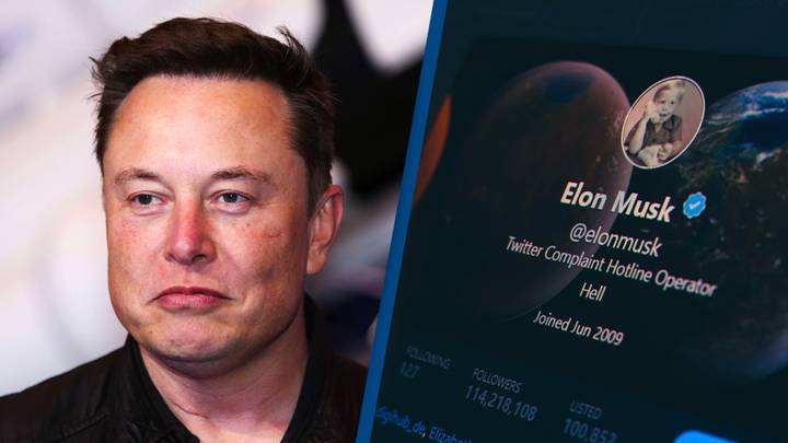 Elon Musk is launching blue, gold and gray Twitter ticks