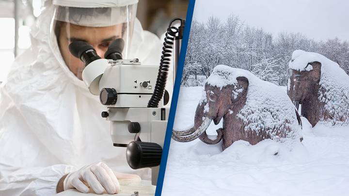 Scientists have revived a 48,500-year-old virus from ancient Siberian permafrost